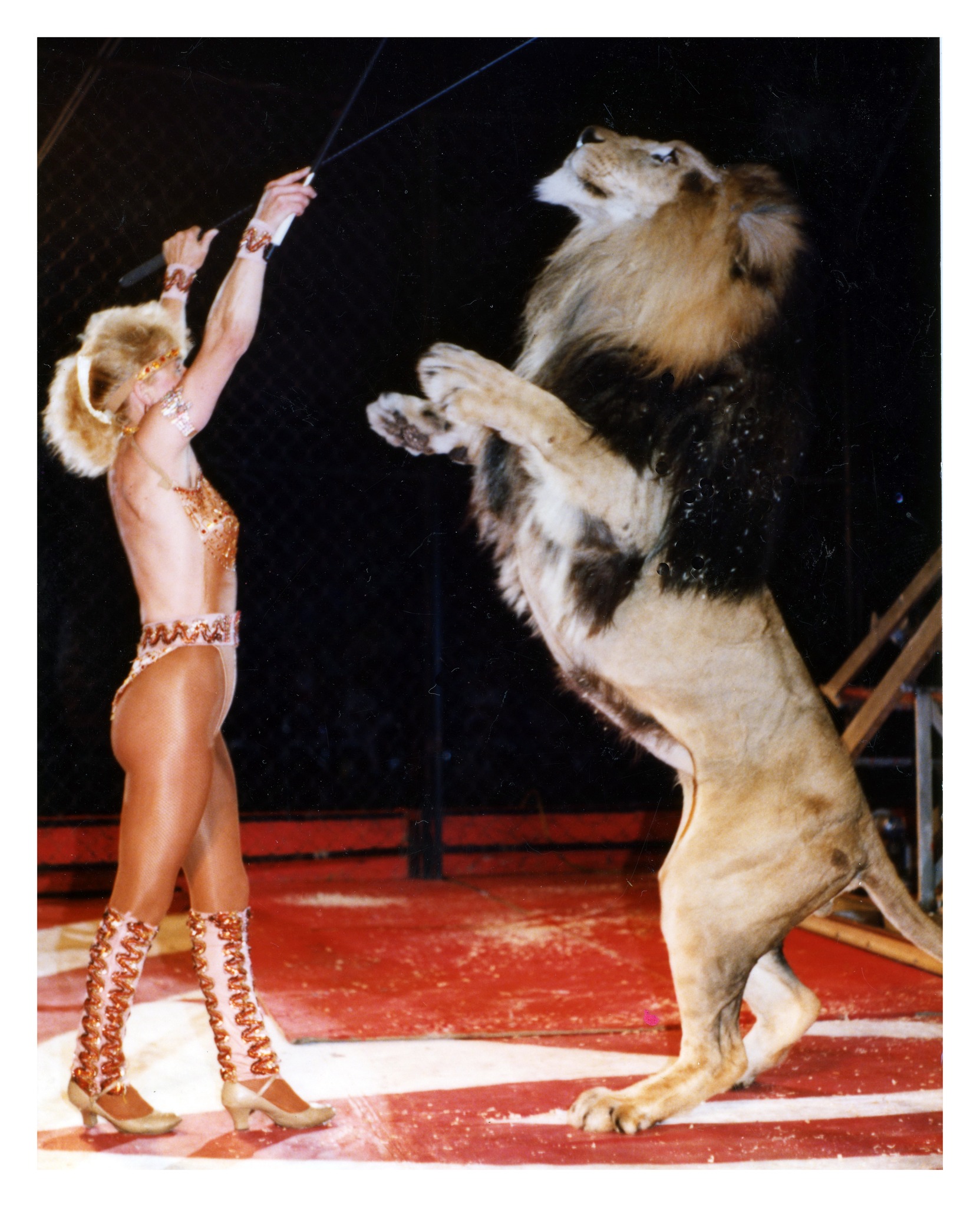 jackie zerbini Circus Ring Of Fame Foundation inductee 2
