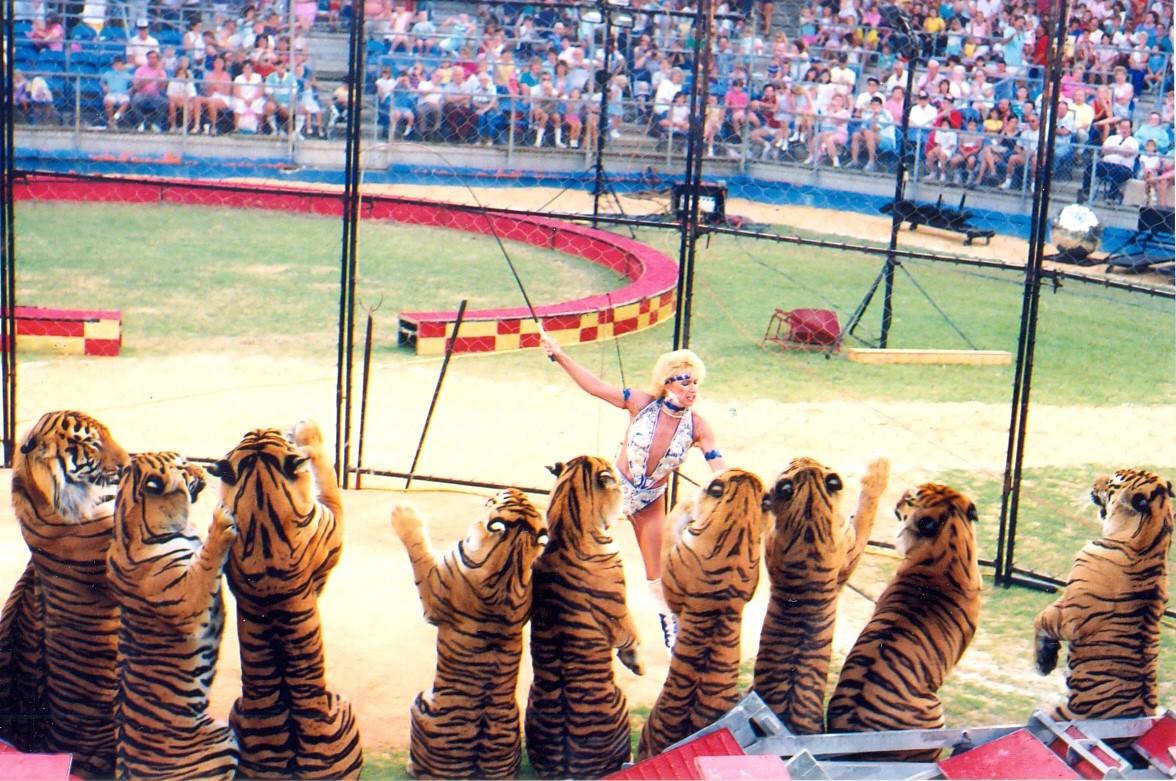 jackie zerbini Circus Ring Of Fame Foundation inductee 5